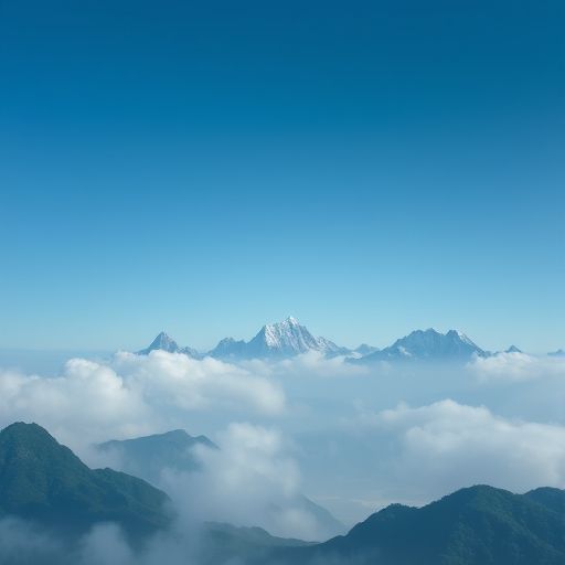 深圳高端品茶氛围